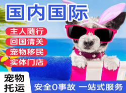 东营胜利国际宠物托运 【国